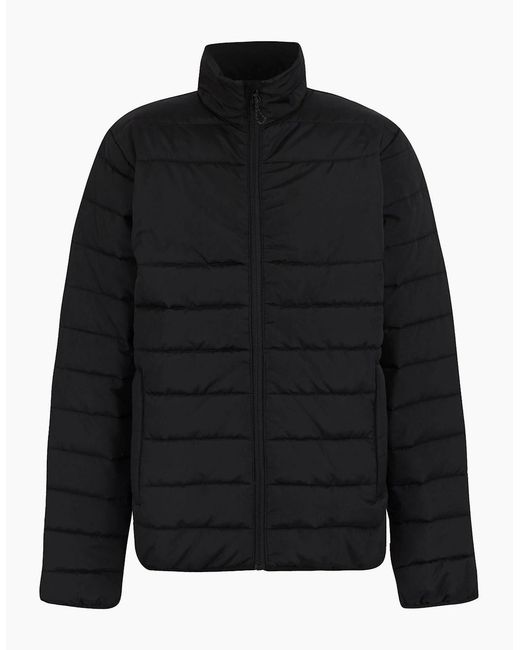 Regatta Black Professional Essential Thermal Padded Jacket for men