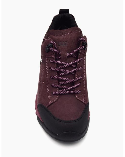 Waldläufer Purple Amiata 787952
