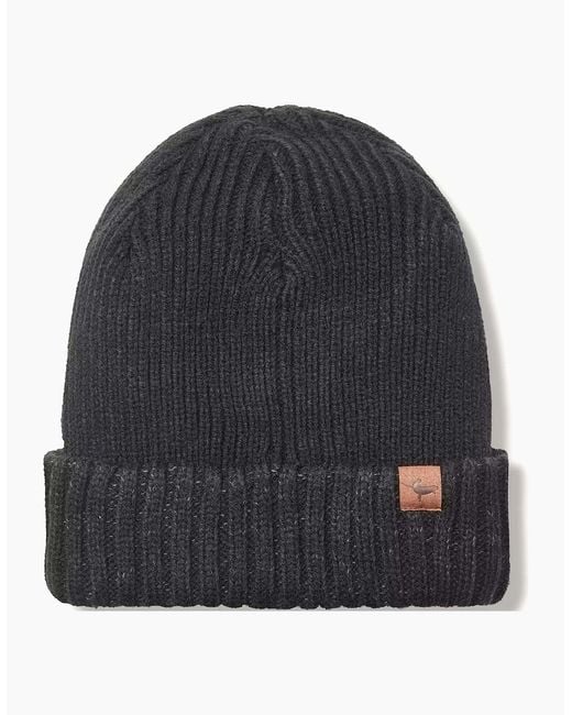 SealSkinz Blue Bacton Waterproof Cold Weather Roll Cuff Beanie for men