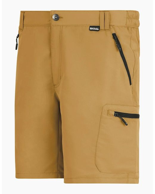 Regatta Natural Leesville Iii Shorts for men