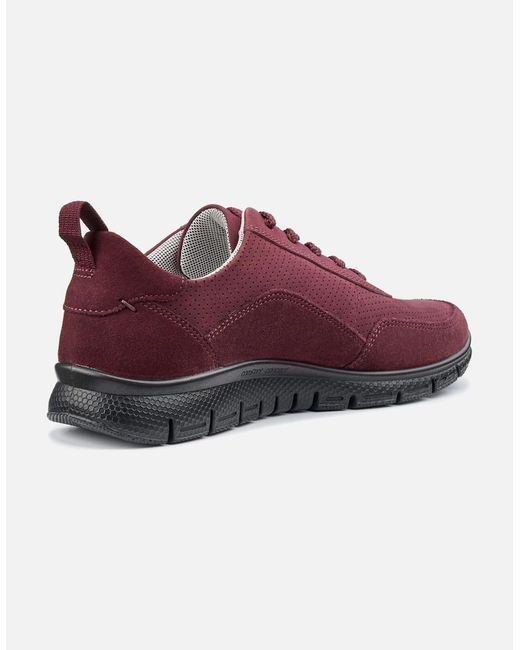 Hotter Purple Gravity Ii Casual Sports Shoes