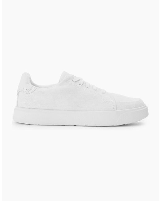 Timberland White Emerson Street Canvas Low Top Sneakers