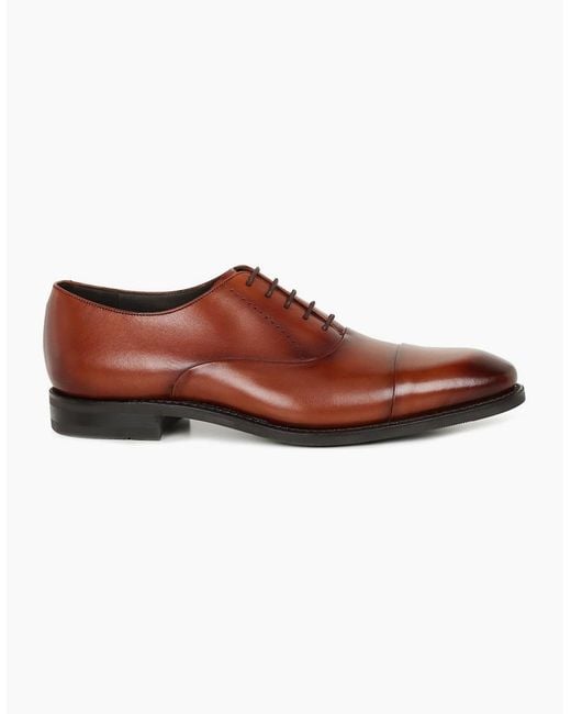Loake Brown Phoenix Formal Toe Cap Shoes for men