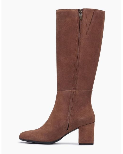 Hush Puppies Brown Oprah Suede Long Leather Mocha Heeled Knee High Boots