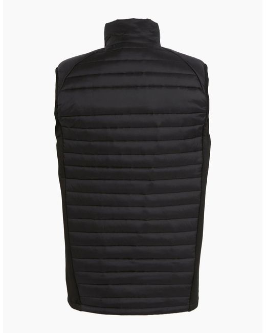 Regatta Black Professional Quilted Hybrid Gilet for men