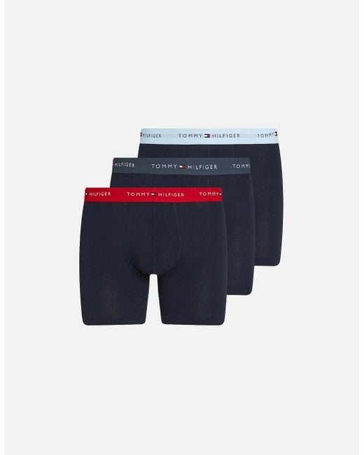 Tommy Hilfiger Blue 3-Pack Signature Cotton Coloured Band Boxer Briefs for men