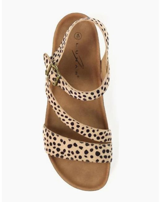 Lunar Brown Muster Jlh529