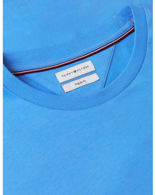 Tommy Hilfiger Blue Flag Embroidery Crew Neck T-Shirt C30 Spell for men