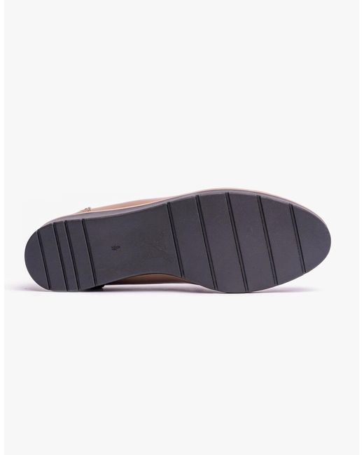 Lotus Pink Cambridge Shoes Taupe