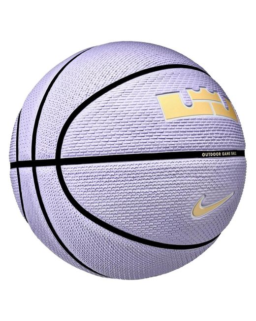 Nike Blue Lebron James Playground 2.0 Basketball