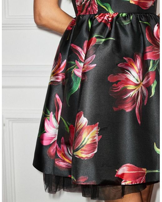Ro&zo Red Hannah Hand Painted Tulip Mini Dress
