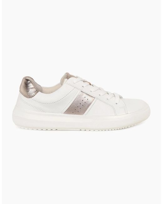 Gabor Natural Jade Trainer