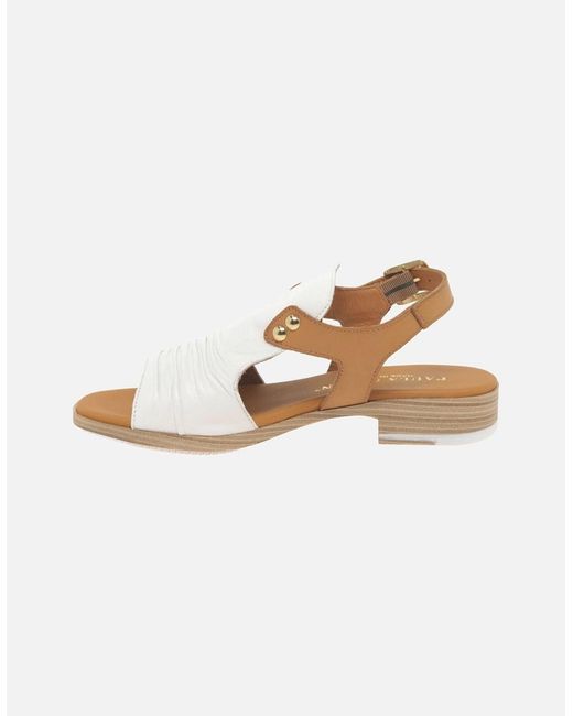 Paula Urban White Coastal Buckle Fastening Sandals