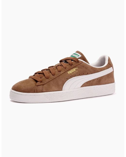 PUMA Brown Classic Suede Haute Coffee/ Trainers