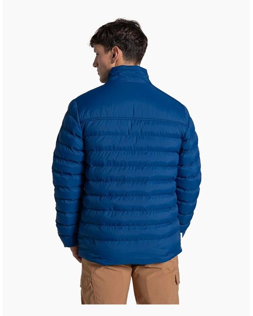 Craghoppers Blue National Trust Dalesway Padded Jacket for men