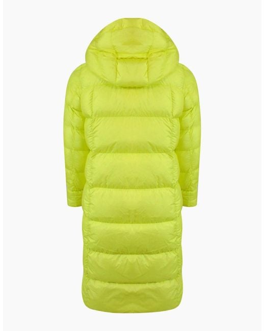 Parajumpers Green Panda Charlock Jacket