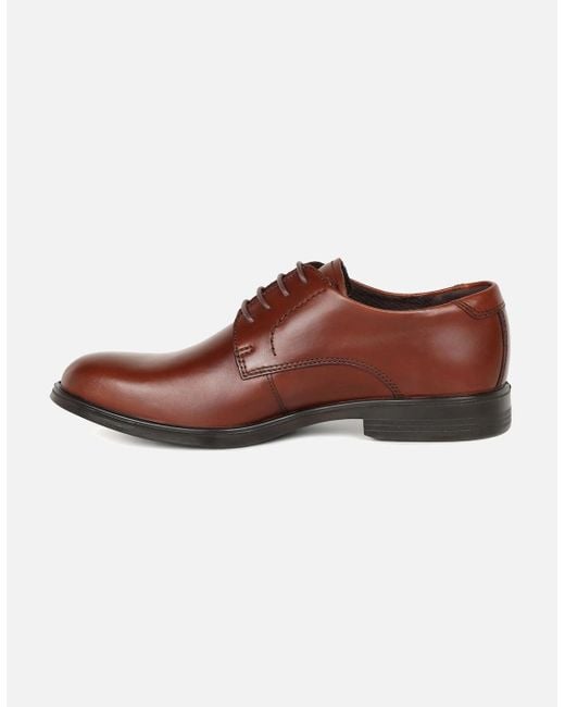 Ecco Brown Melbourne Formal Lace Up Shoes for men