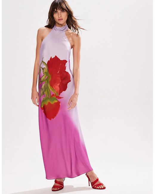 Ro&zo Pink Petite Margot Rose Print Halter Neck Dress
