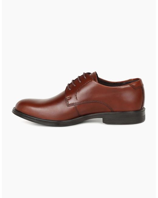 Ecco Brown Melbourne Formal Lace Up Shoes for men