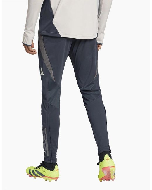 Adidas Blue Eu Tr Pnt Tracksuit Bottom for men