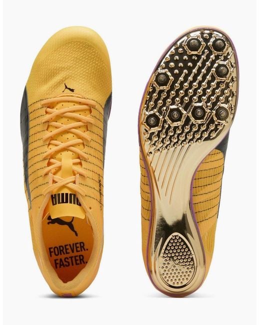 PUMA Metallic Evospeed Brush 6 Track Running Spikes for men