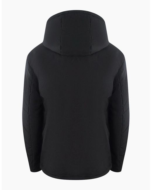Iceberg Black Ice Plain Hooded Jacket for men