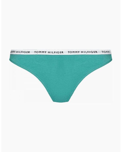 Tommy Hilfiger Blue Cotton 3-Pack Thong, Cranberry/Aqua/Saltwater