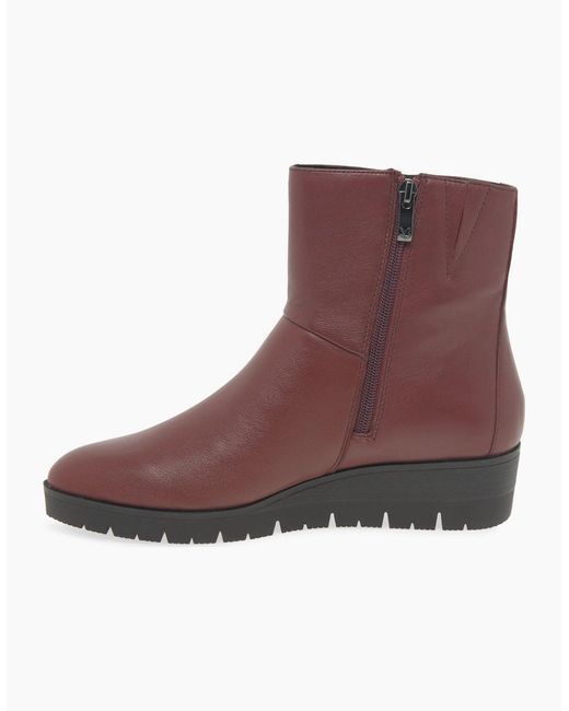 Caprice Brown Antonia Ankle Boots
