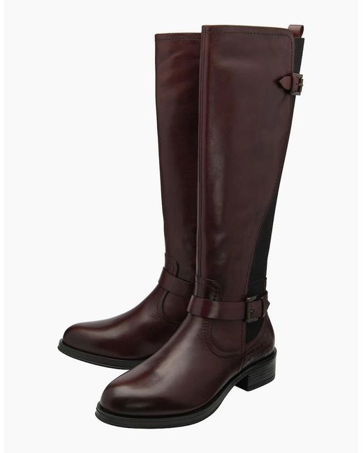 Ravel Brown Eildon Knee High Boots
