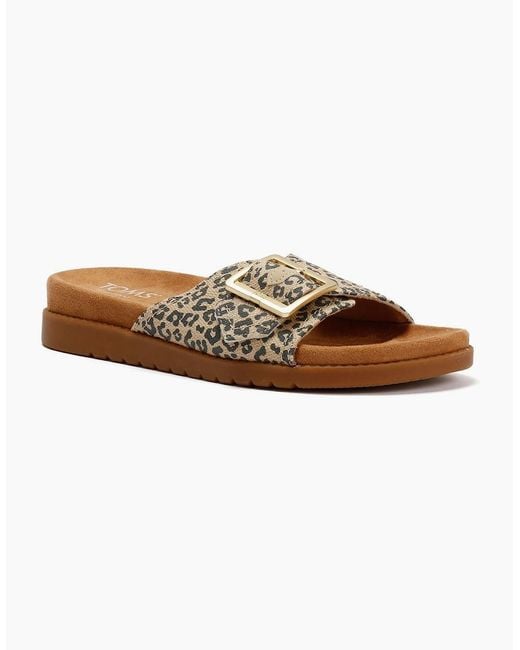 TOMS Brown Marin Slide Leopard Sandals