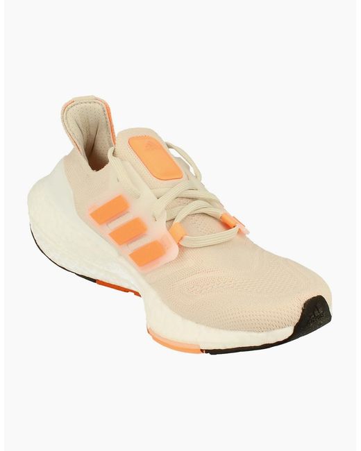 Adidas Natural 22 Sneakers Gx6666