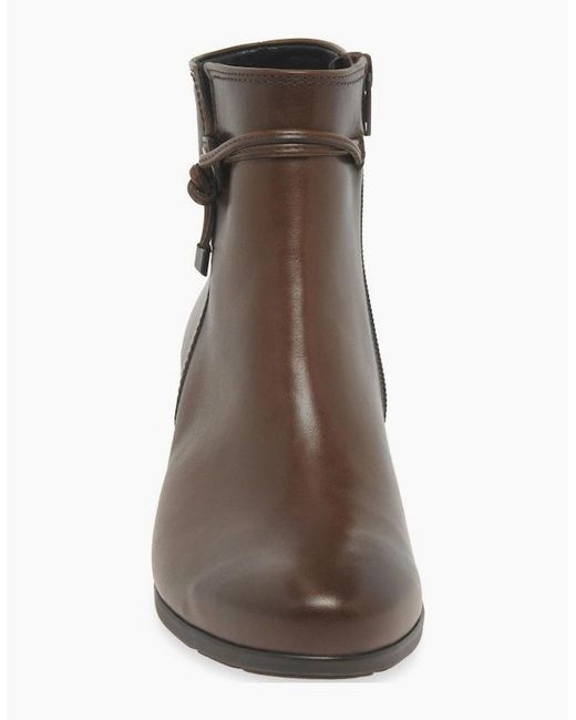 Gabor Brown Ela Ankle Boots