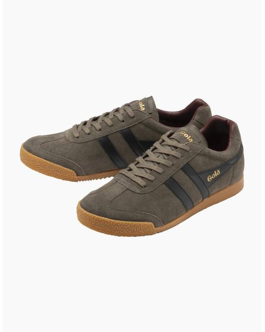 Gola Brown Harrier Trainers for men