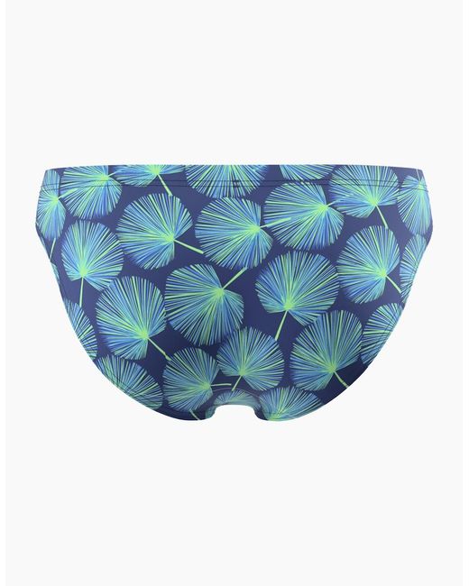 Speedo Blue Beachstar Palm Leaf All-Over Print Swim Briefs for men