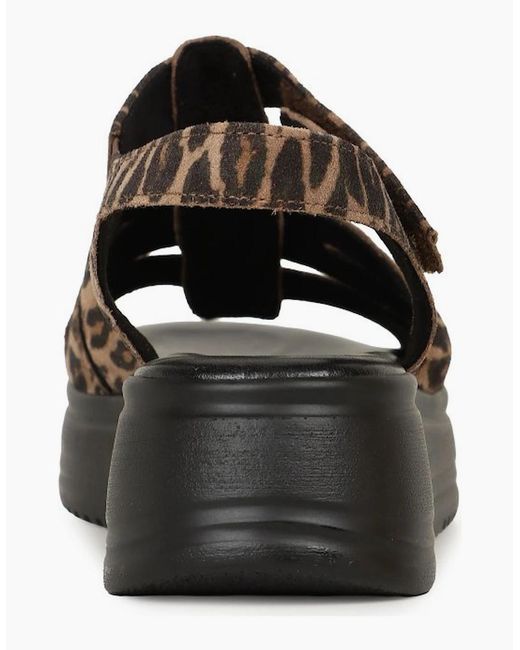 Gabor Black Abel Sandals