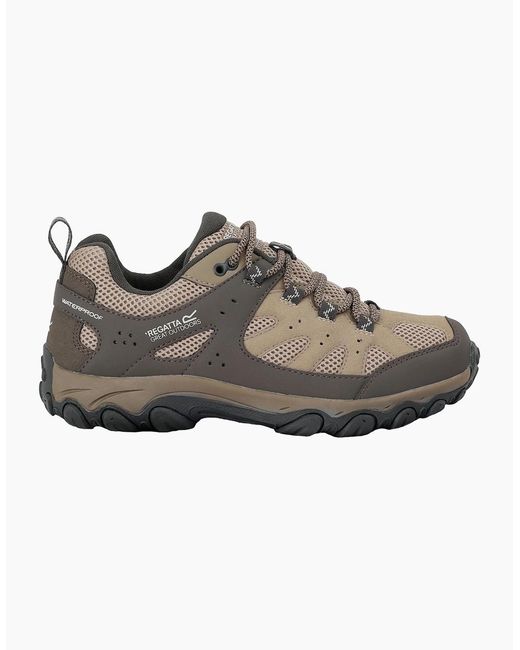 Regatta Brown Ladies Edgepoint Iv Low Walking Shoes