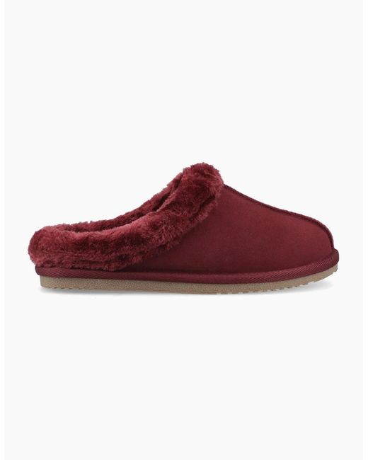Hush Puppies Red Amara Suede Bordeaux Slippers