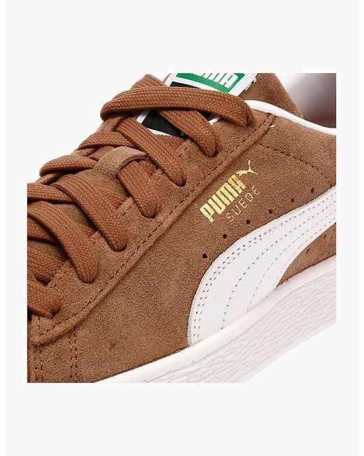 PUMA Brown Classic Suede Haute Coffee/ Trainers