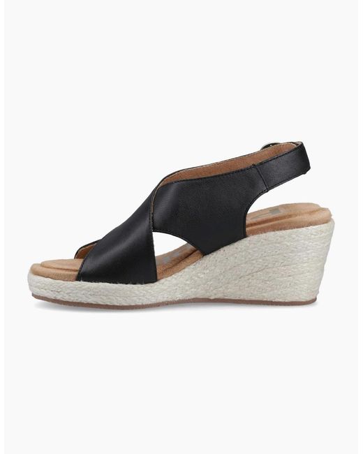 Hush Puppies Blue Dalia Kitten Slingback Court Shoes
