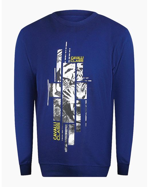 Roberto Cavalli Blue Cavalli Class Splintered Tiger Graphic Iris Sweatshirt for men