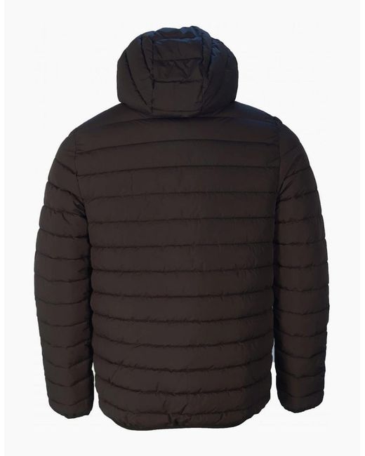 Aquascutum Black Active 100Gr Hooded Jacket for men