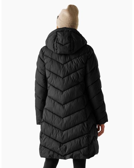 Regatta Black Ladies Anita Padded Jacket