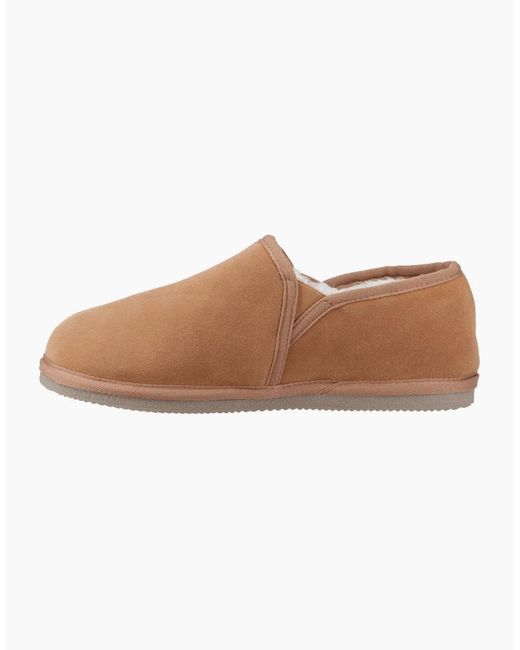 Hush Puppies Brown Aryan Slipper for men