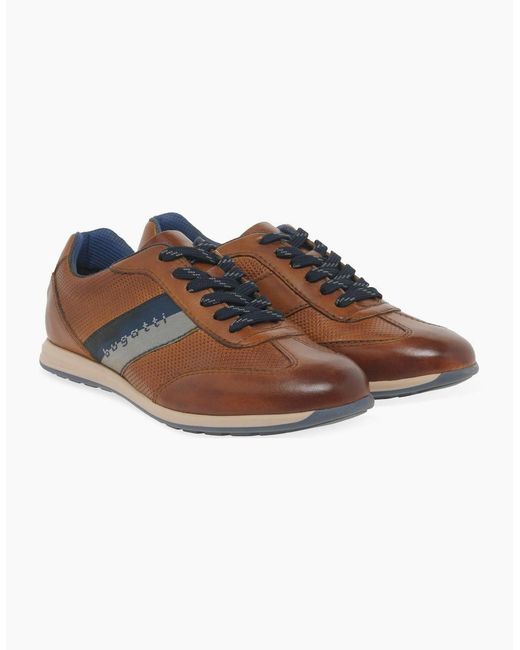Bugatti Brown Truman Trainers for men