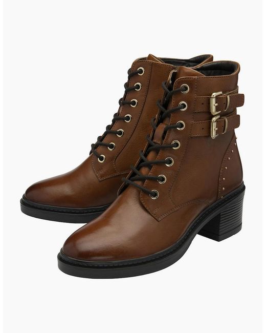 Lotus Brown Parton Ankle Boots