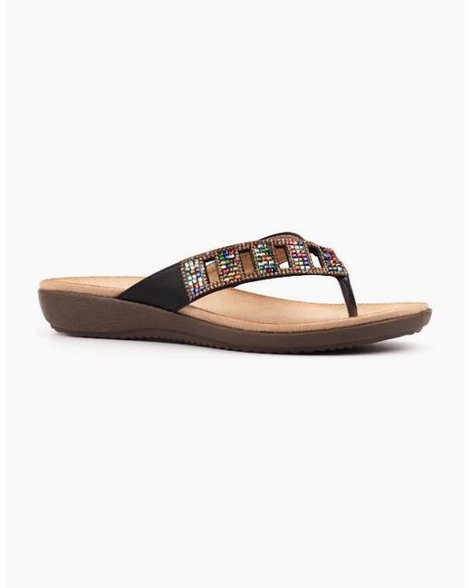 Lunar Brown Abigail Ii Jlh565