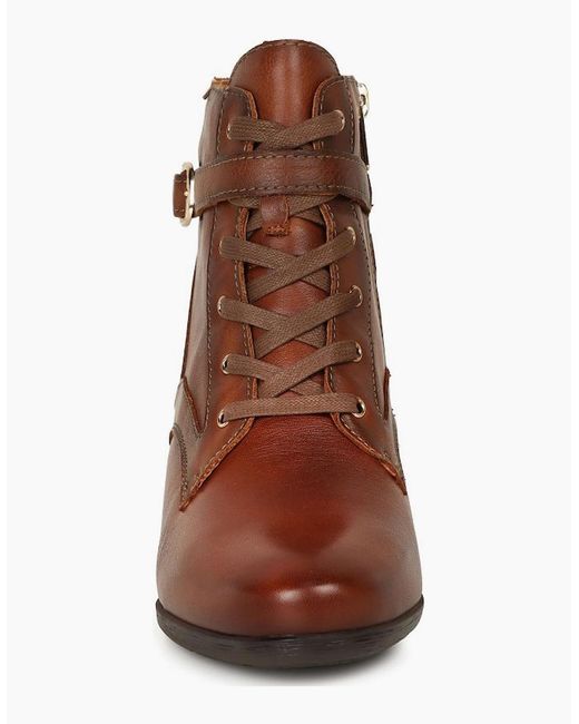 Pikolinos Brown Murrey Ankle Boots
