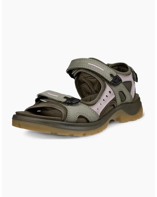 Ecco Green Offroad Nubuck Outdoor Walking Sandals