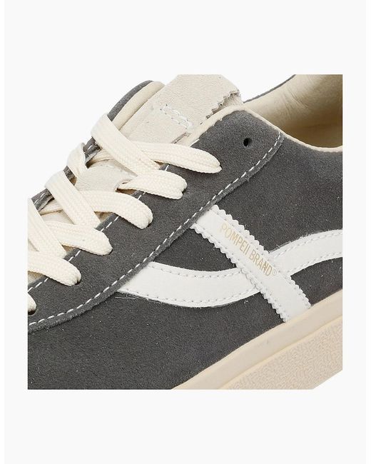 Pompeii3 Gray Dart Suede /Ecru Trainers for men