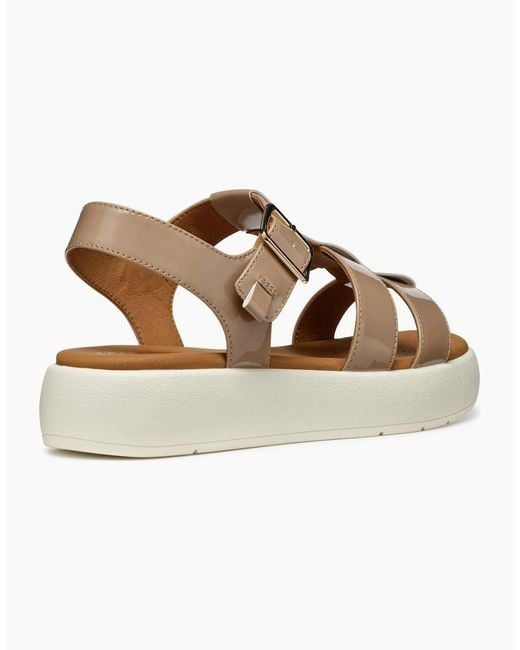 Geox Brown D Camalei Sandals